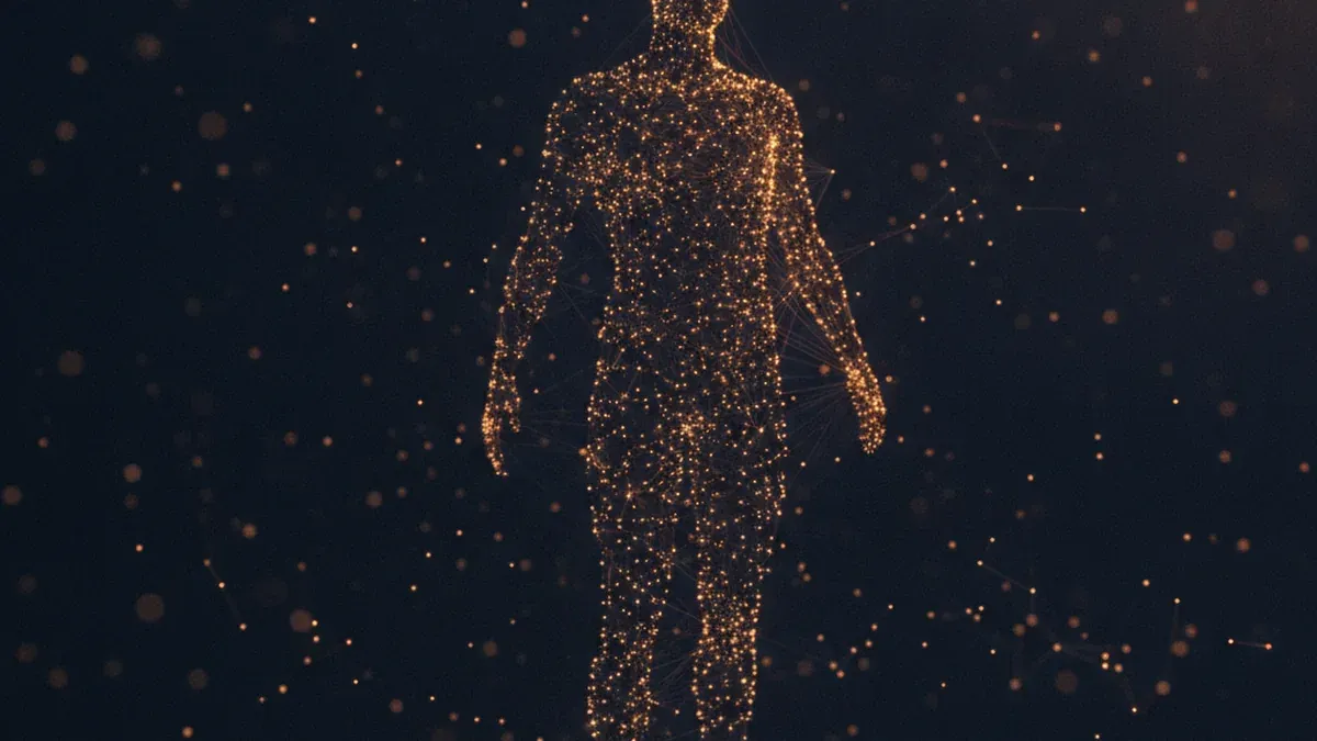 Numerous separate points of light on a dark ground between which fine connecting lines form until a coherent shape becomes recognisable